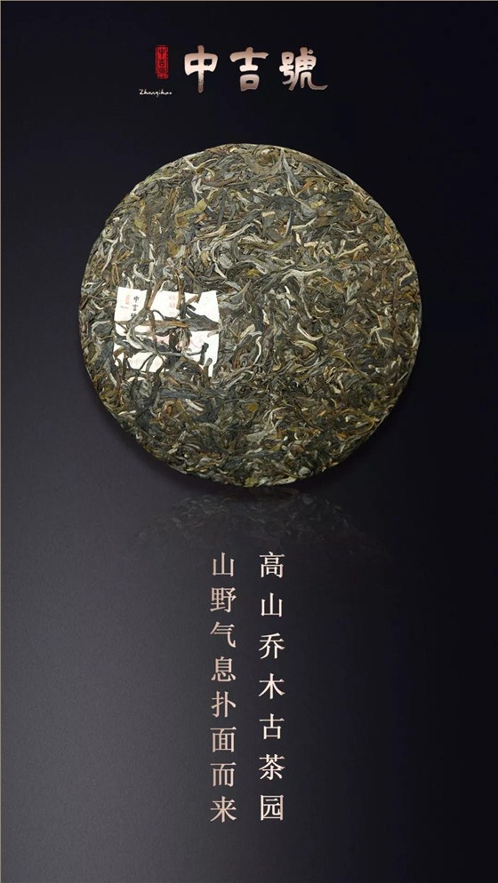 云南普洱茶旺財(cái)