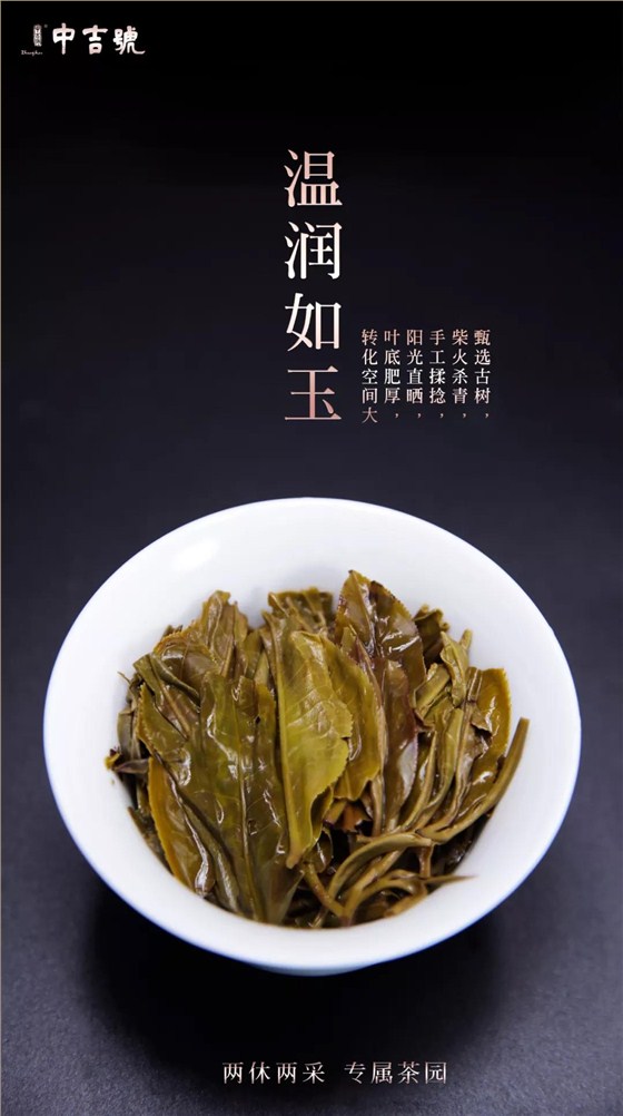 班盆普洱茶價格