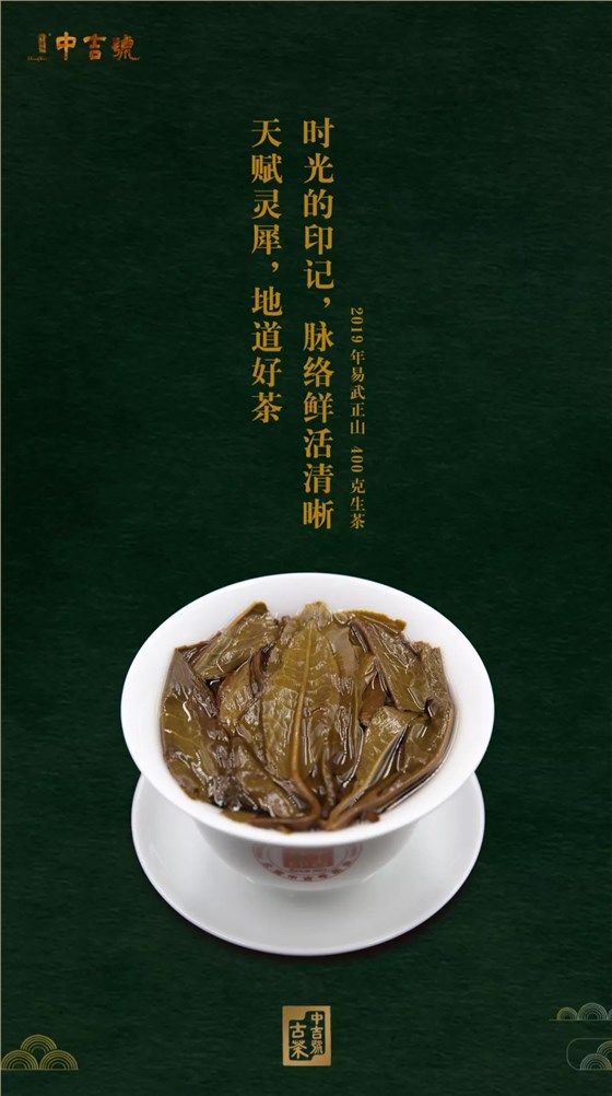 易武正山普洱茶