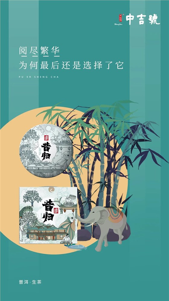 中吉號(hào)昔歸古樹(shù)茶