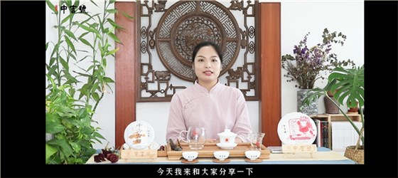 中吉號茶堂：如何分辨普洱熟茶和生茶？