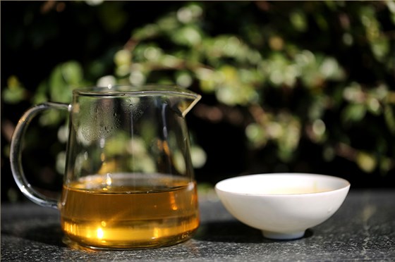 中吉號(hào)茶堂：什么季節(jié)采摘的云南普洱茶品質(zhì)最好？