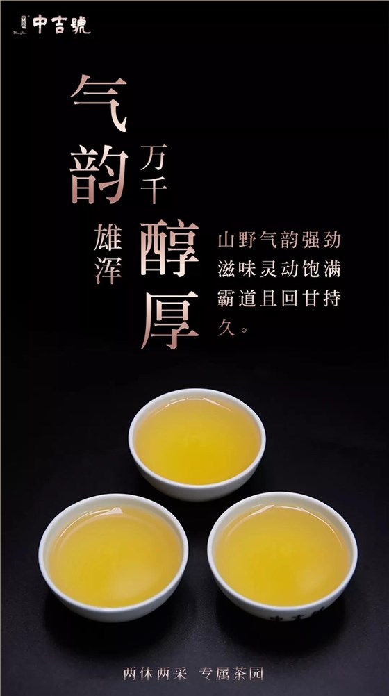 普洱茶價(jià)格表