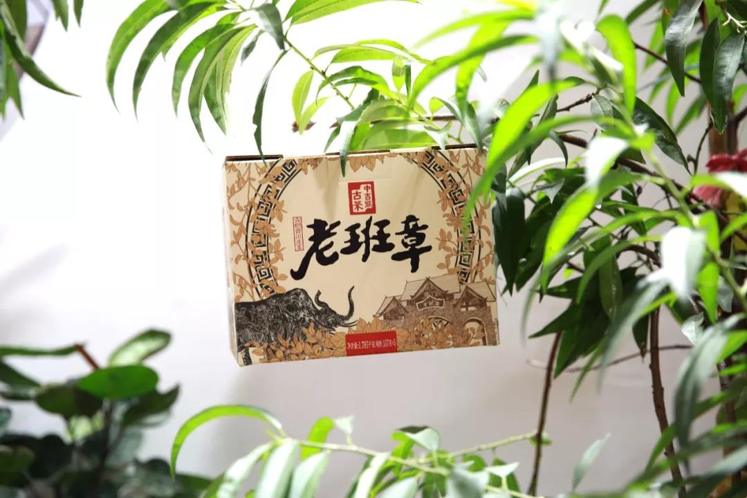 中吉號(hào)廣州茶博會(huì)