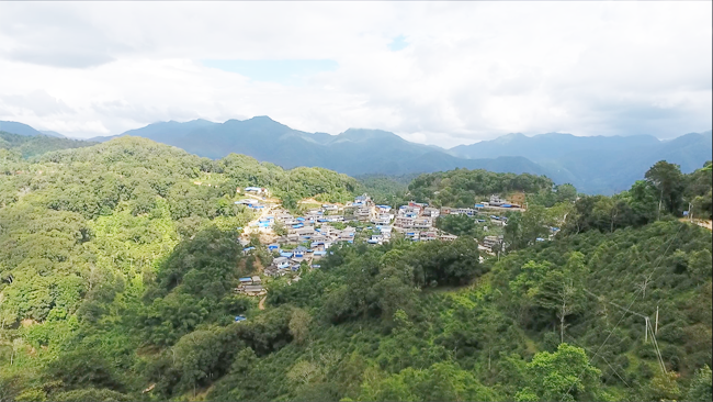 廣東人愛(ài)喝普洱茶