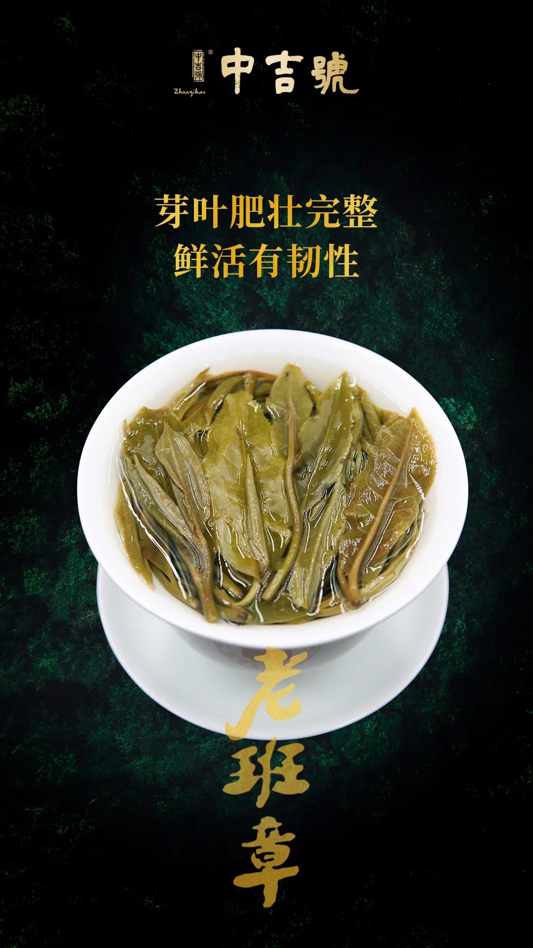 老班章普洱茶