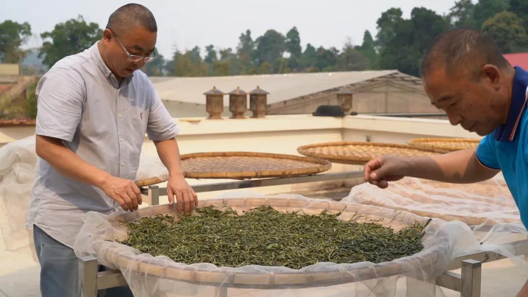 中吉號老班章普洱茶