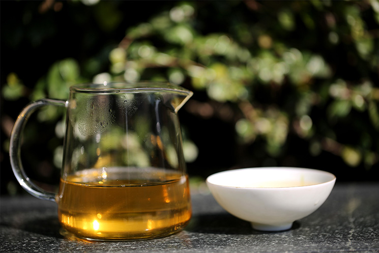 中吉號(hào)茶堂：什么季節(jié)采摘的云南普洱茶品質(zhì)最好？