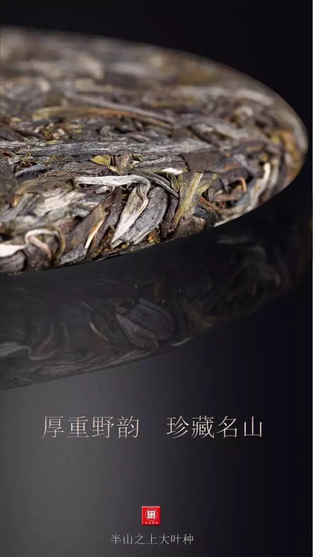 中吉號(hào)古樹茶