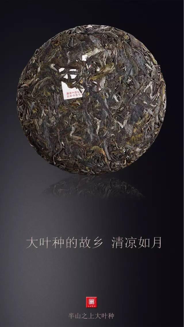 中吉號(hào)古樹茶