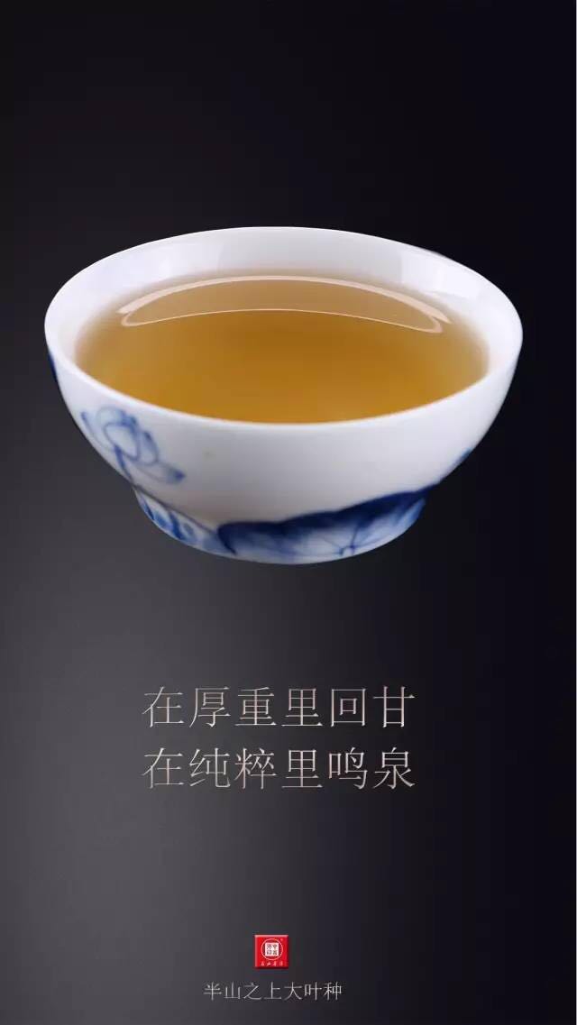 中吉號(hào)古樹茶