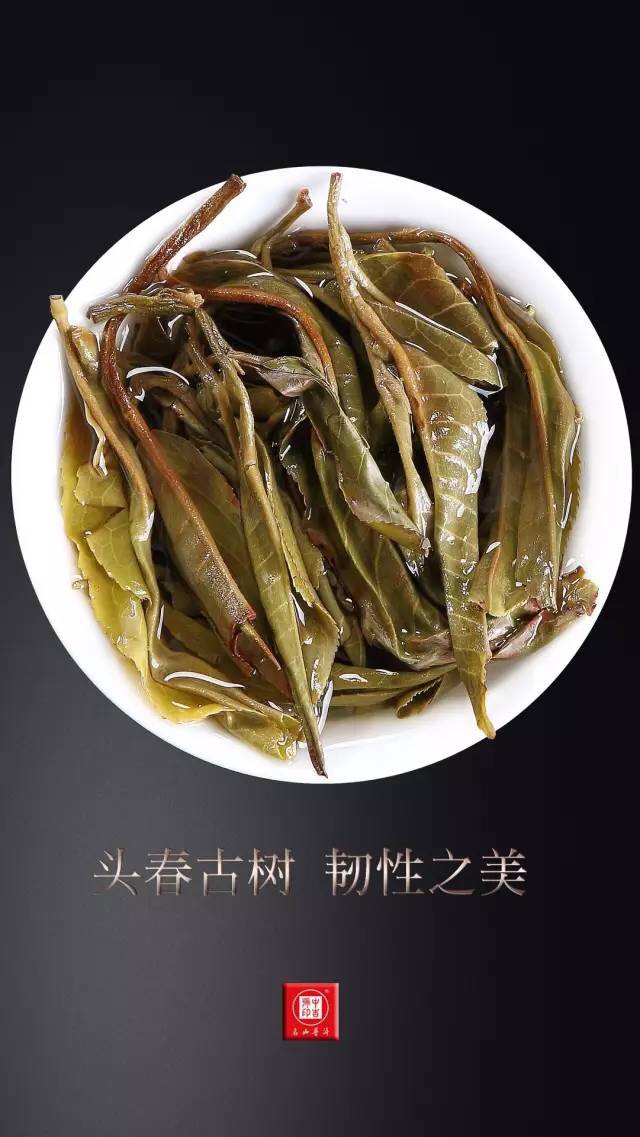 中吉號(hào)老班章