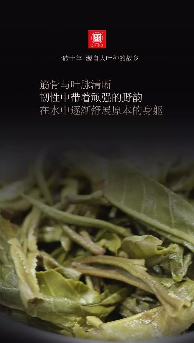 中吉號(hào)古樹(shù)茶